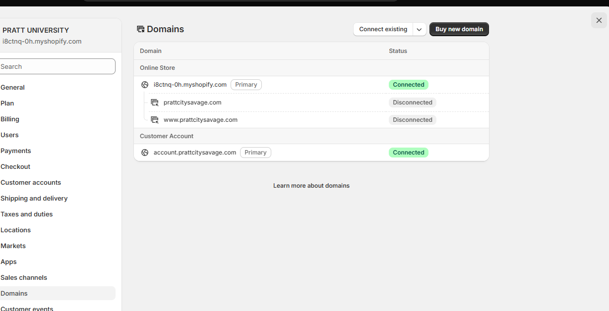 Shopify Domains page showing primary domain